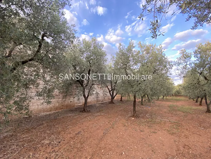 Immagine 38 di Rustico / casale in vendita  in Picolo a Fasano