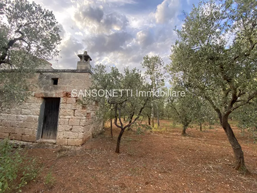 Immagine 40 di Rustico / casale in vendita  in Picolo a Fasano