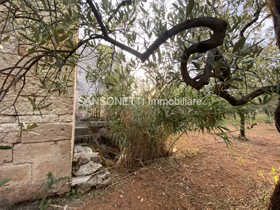 Immagine 44 di Rustico / casale in vendita  in Picolo a Fasano
