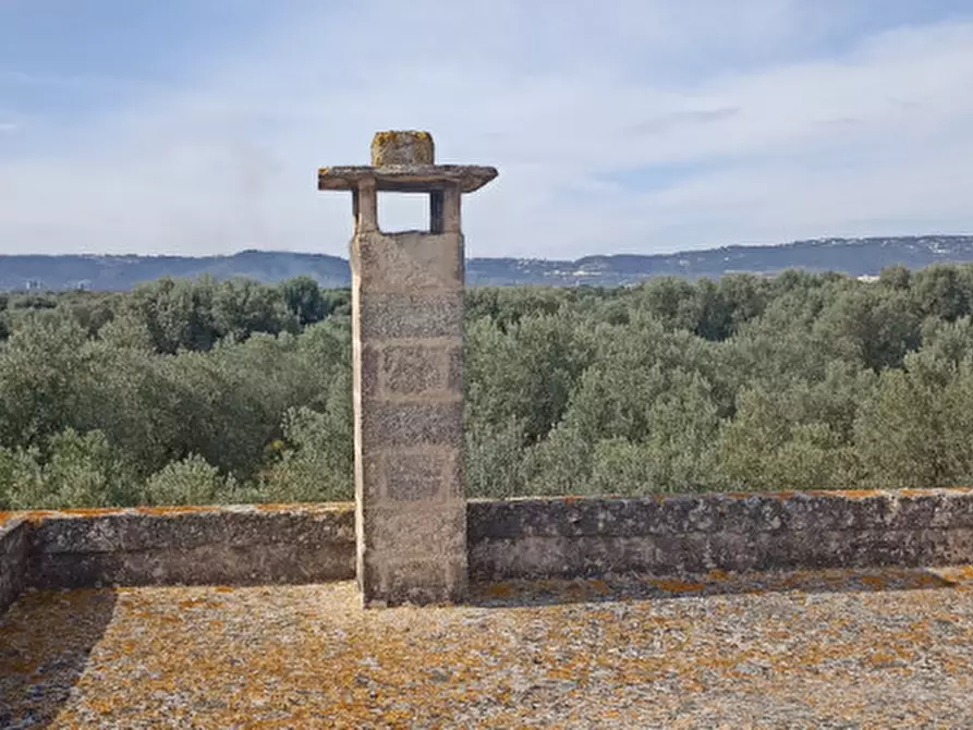 Immagine 49 di Rustico / casale in vendita  in Picolo a Fasano