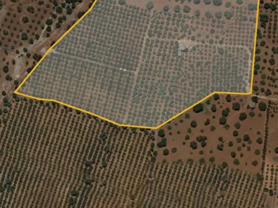 Immagine 51 di Rustico / casale in vendita  in Picolo a Fasano