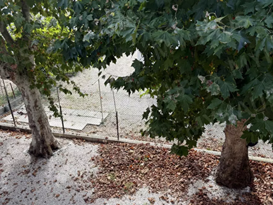 Immagine 15 di Appartamento in vendita  in Viale Andrea Palladio 10 a Cesenatico