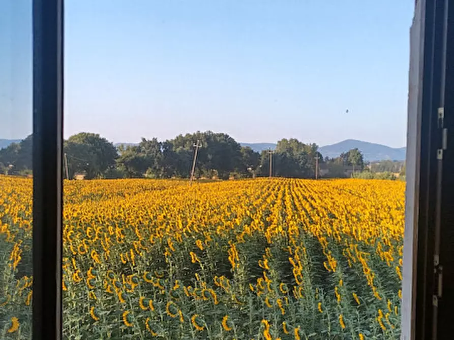 Immagine 20 di Casa indipendente in vendita  a Magione