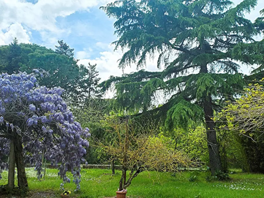 Immagine 46 di Casa indipendente in vendita  a Magione