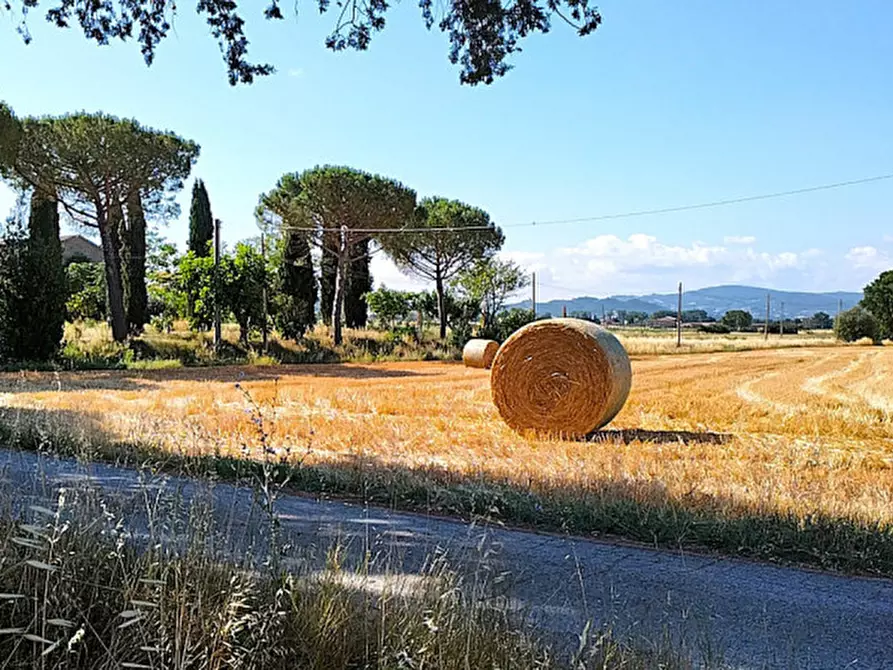 Immagine 49 di Casa indipendente in vendita  a Magione
