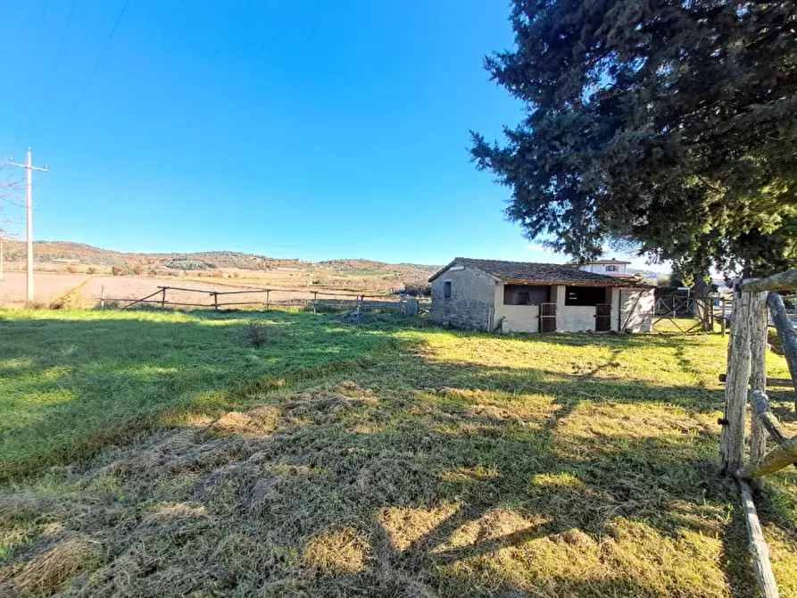 Immagine 55 di Casa indipendente in vendita  a Magione