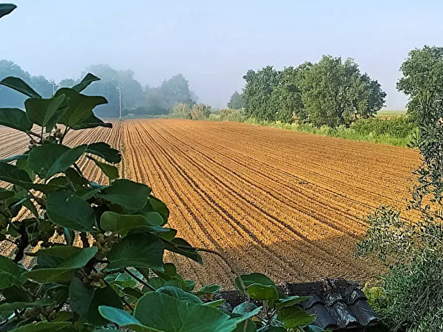 Immagine 65 di Casa indipendente in vendita  a Magione