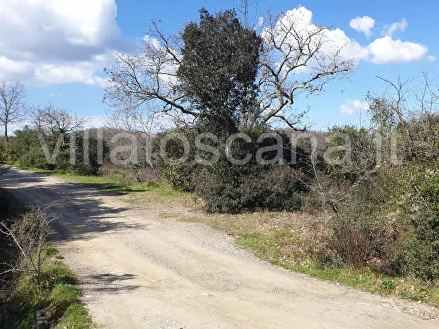 Immagine 2 di Casa indipendente in vendita  a Gavorrano