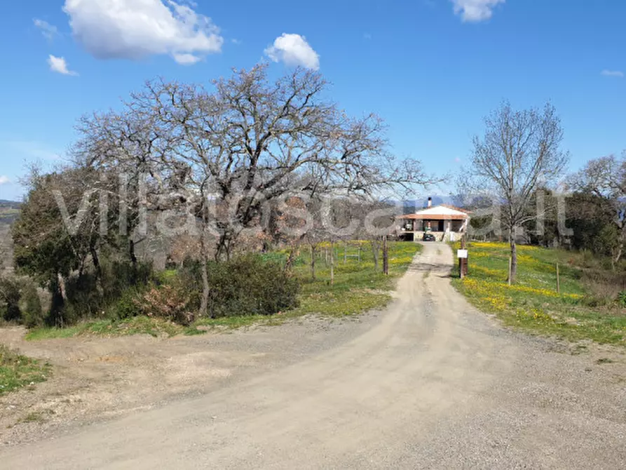 Immagine 3 di Casa indipendente in vendita  a Gavorrano