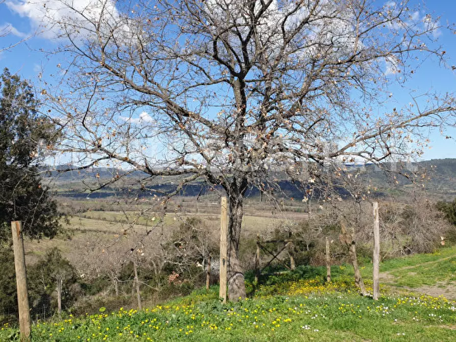 Immagine 5 di Casa indipendente in vendita  a Gavorrano
