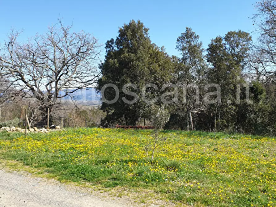 Immagine 9 di Casa indipendente in vendita  a Gavorrano