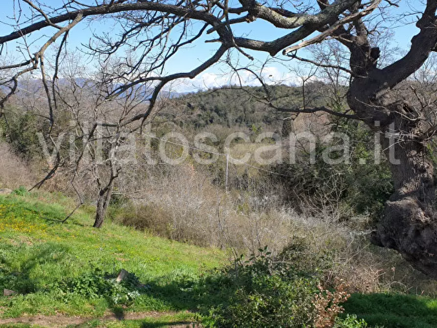 Immagine 11 di Casa indipendente in vendita  a Gavorrano