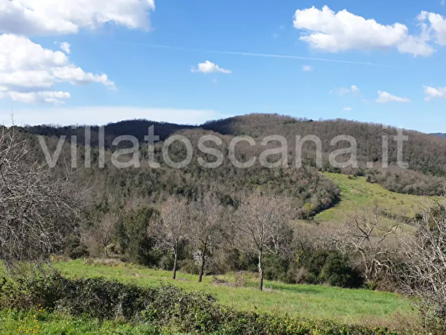 Immagine 14 di Casa indipendente in vendita  a Gavorrano