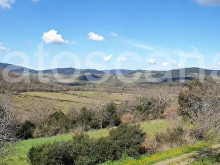 Immagine 15 di Casa indipendente in vendita  a Gavorrano