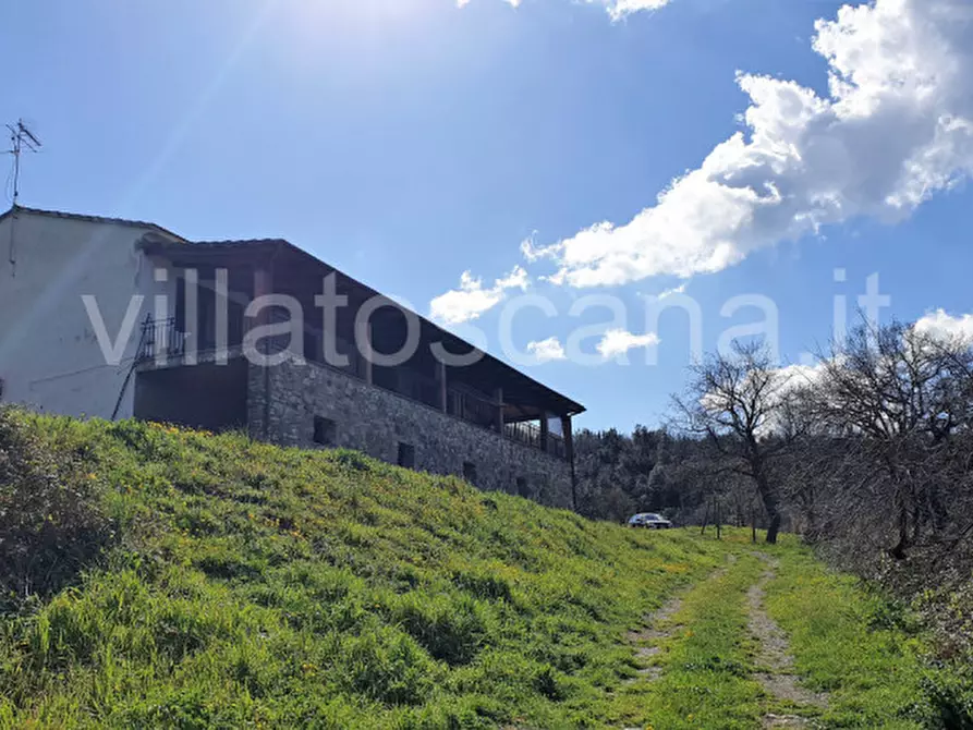Immagine 17 di Casa indipendente in vendita  a Gavorrano