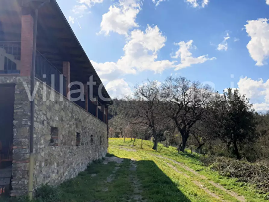 Immagine 18 di Casa indipendente in vendita  a Gavorrano