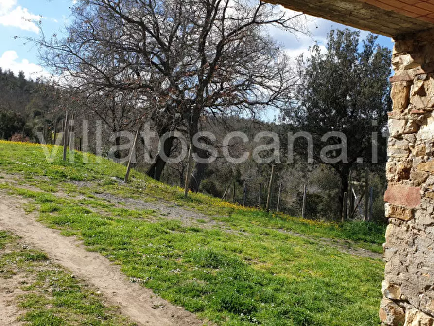 Immagine 20 di Casa indipendente in vendita  a Gavorrano