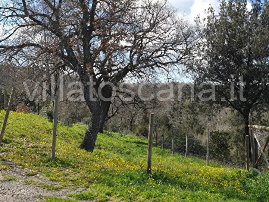Immagine 21 di Casa indipendente in vendita  a Gavorrano