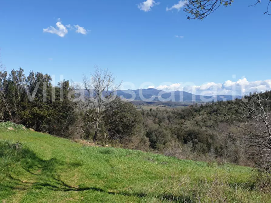Immagine 23 di Casa indipendente in vendita  a Gavorrano