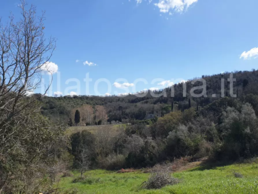 Immagine 24 di Casa indipendente in vendita  a Gavorrano