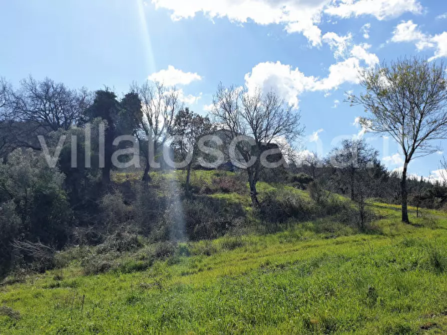 Immagine 25 di Casa indipendente in vendita  a Gavorrano