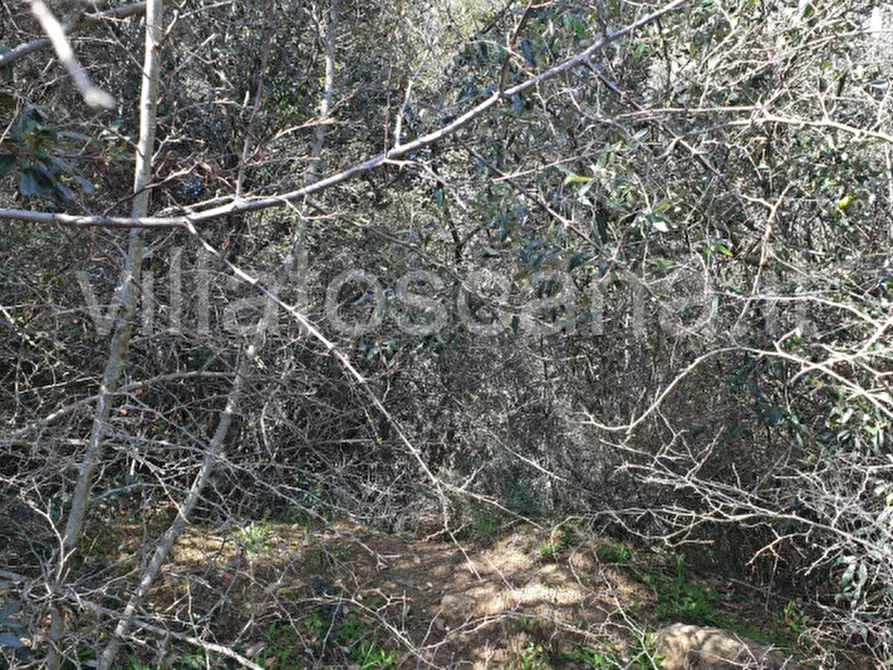 Immagine 26 di Casa indipendente in vendita  a Gavorrano