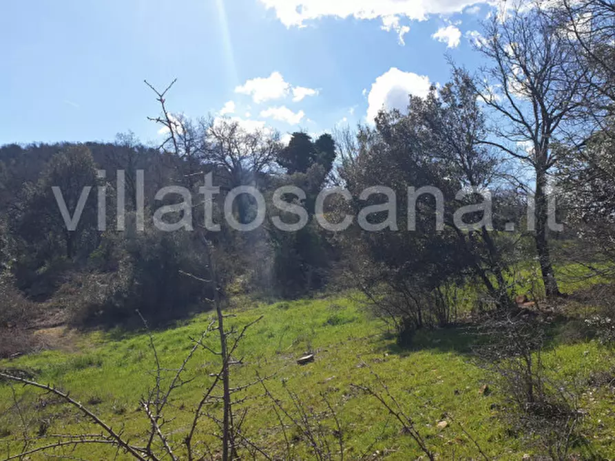 Immagine 27 di Casa indipendente in vendita  a Gavorrano