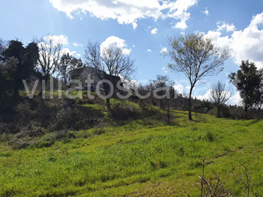 Immagine 28 di Casa indipendente in vendita  a Gavorrano