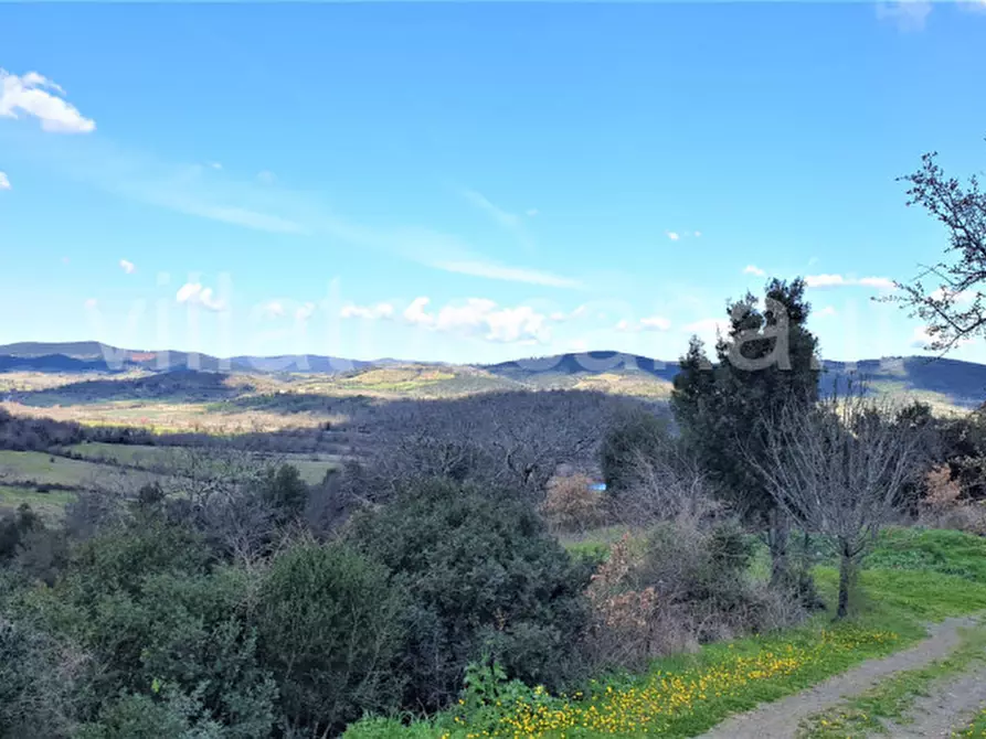 Immagine 29 di Casa indipendente in vendita  a Gavorrano