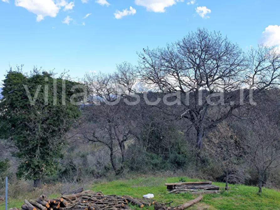 Immagine 31 di Casa indipendente in vendita  a Gavorrano