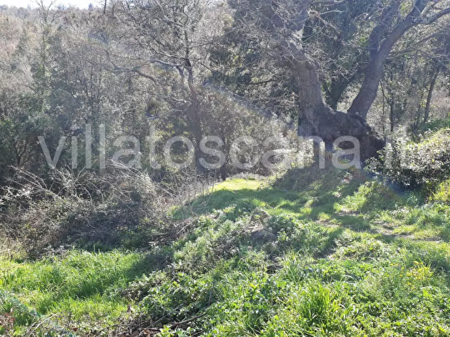 Immagine 35 di Casa indipendente in vendita  a Gavorrano