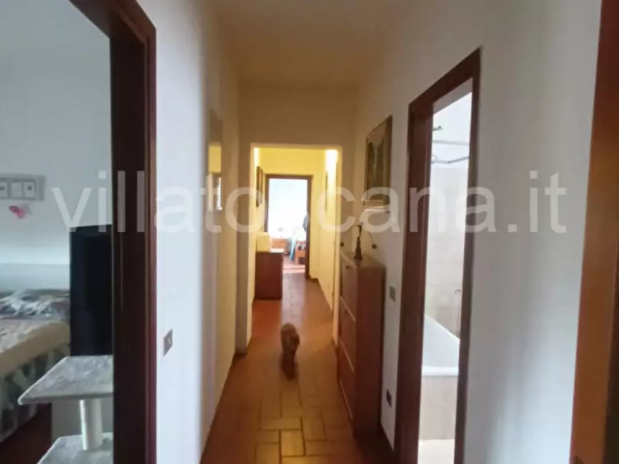 Immagine 37 di Casa indipendente in vendita  a Gavorrano