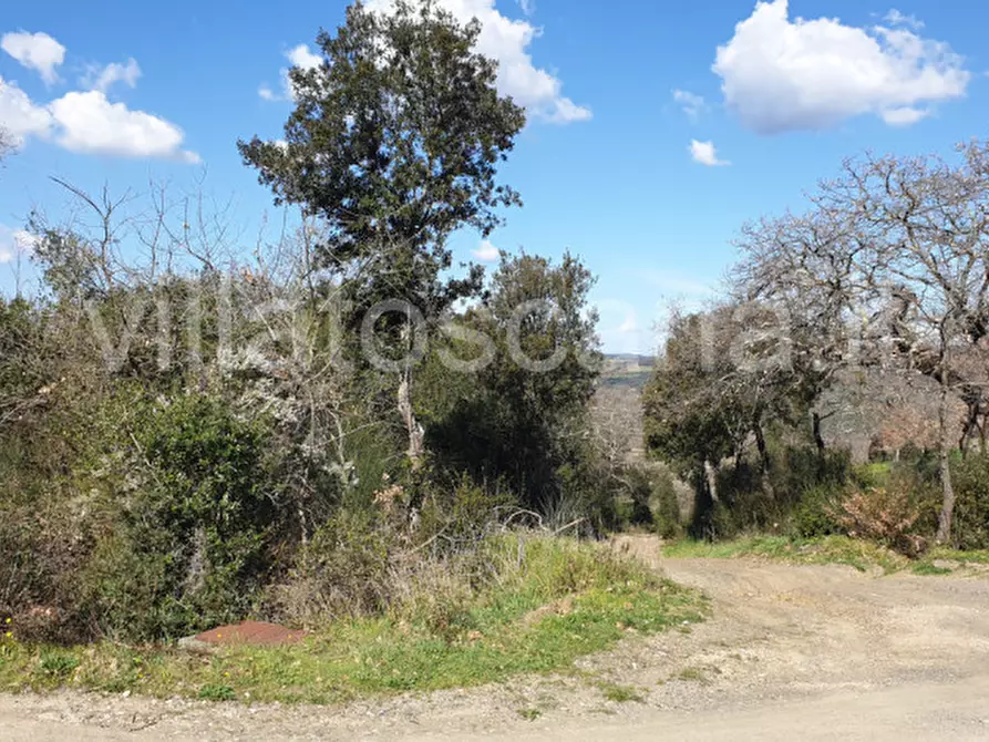Immagine 50 di Casa indipendente in vendita  a Gavorrano