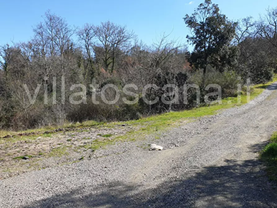 Immagine 52 di Casa indipendente in vendita  a Gavorrano