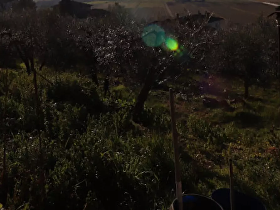 Immagine 26 di Appartamento in vendita  in via della ghiacciaia a Laterina Pergine Valdarno