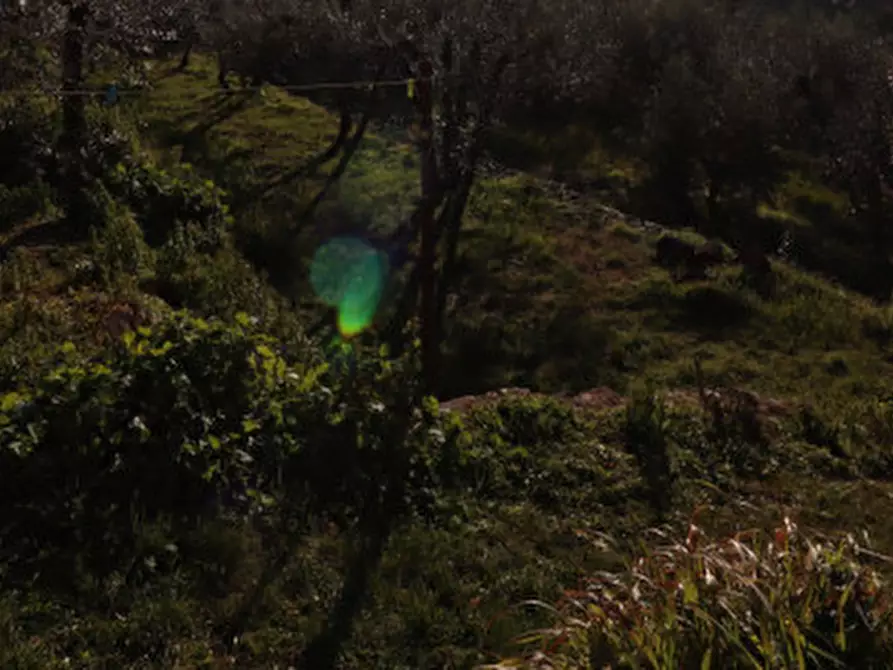 Immagine 22 di Appartamento in vendita  in via ghiacciaia a Laterina Pergine Valdarno