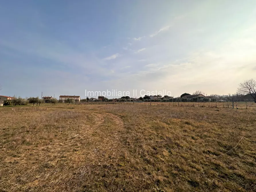 Immagine 11 di Terreno in vendita  in Località Vitellino a Castiglione Del Lago