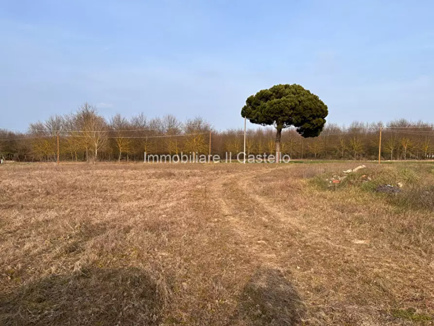 Immagine 14 di Terreno in vendita  in Località Vitellino a Castiglione Del Lago