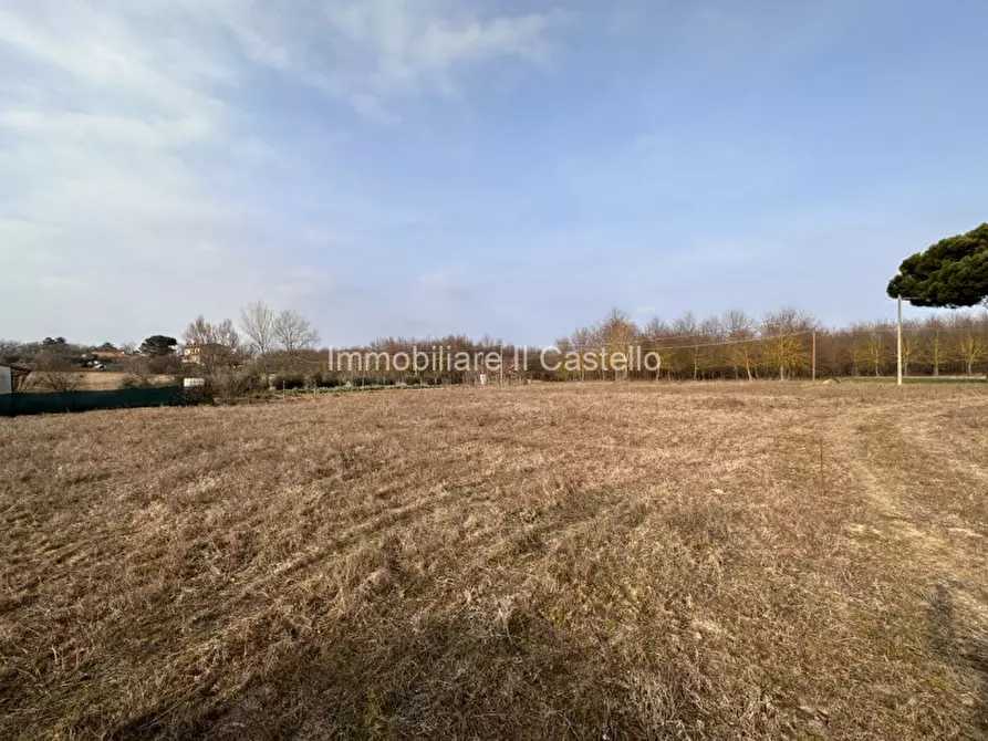 Immagine 15 di Terreno in vendita  in Località Vitellino a Castiglione Del Lago