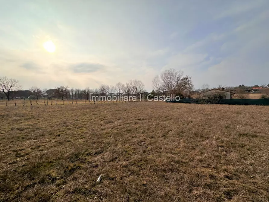 Immagine 16 di Terreno in vendita  in Località Vitellino a Castiglione Del Lago