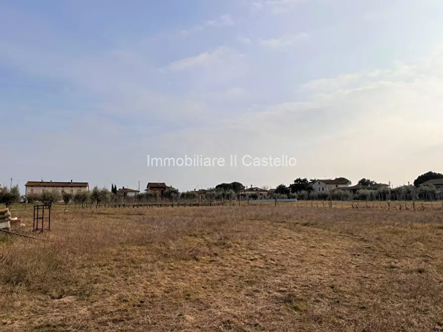 Immagine 2 di Terreno in vendita  in Località Vitellino a Castiglione Del Lago