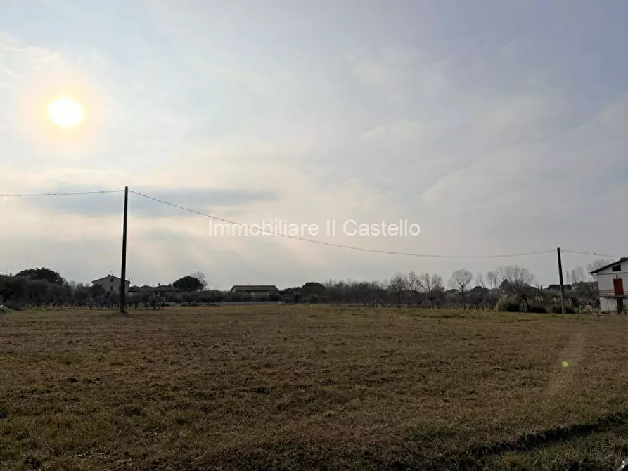Immagine 4 di Terreno in vendita  in Località Vitellino a Castiglione Del Lago