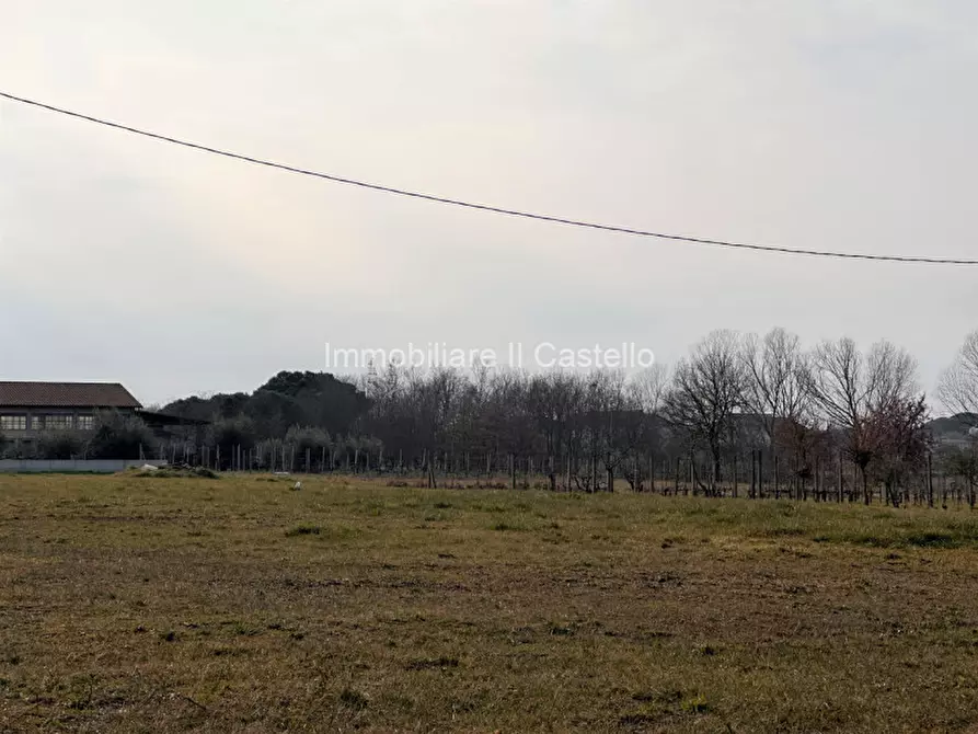 Immagine 5 di Terreno in vendita  in Località Vitellino a Castiglione Del Lago