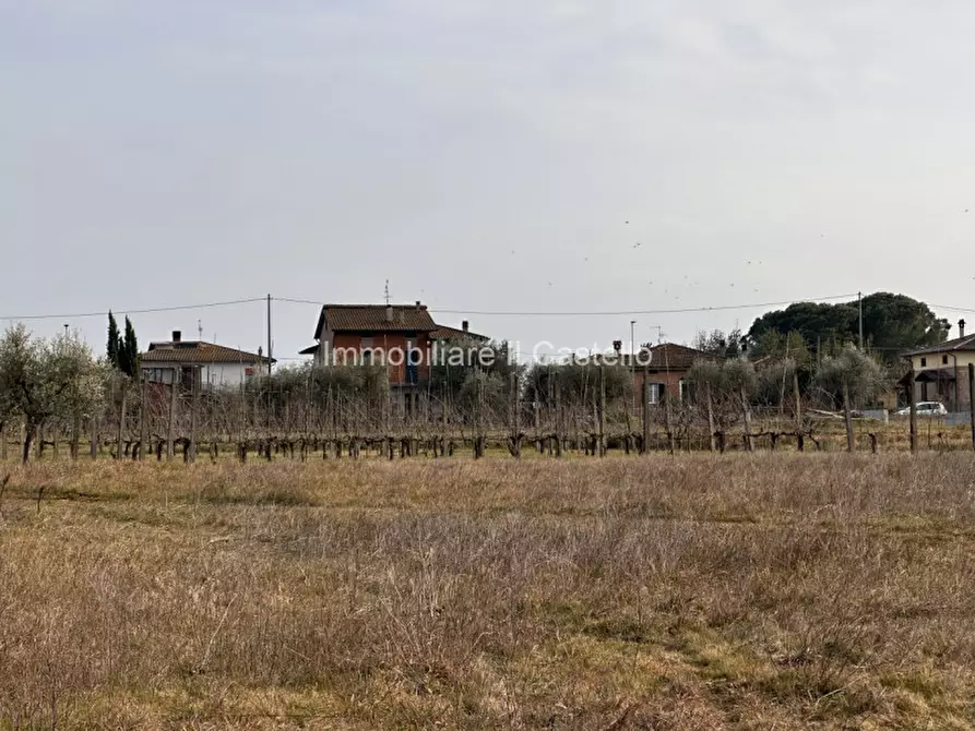 Immagine 7 di Terreno in vendita  in Località Vitellino a Castiglione Del Lago