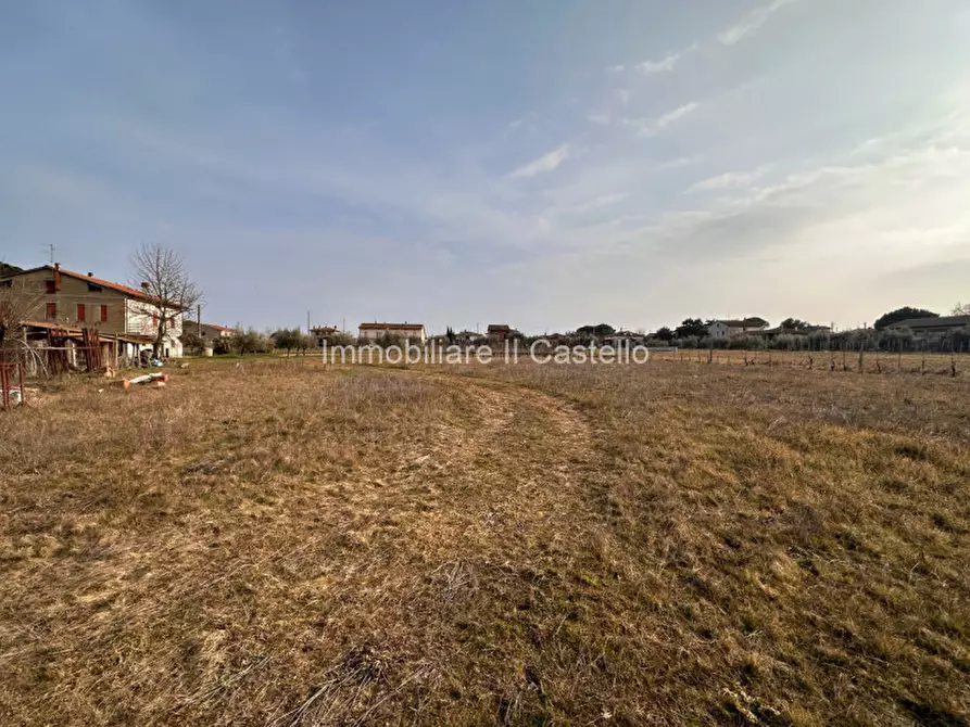 Immagine 9 di Terreno in vendita  in Località Vitellino a Castiglione Del Lago