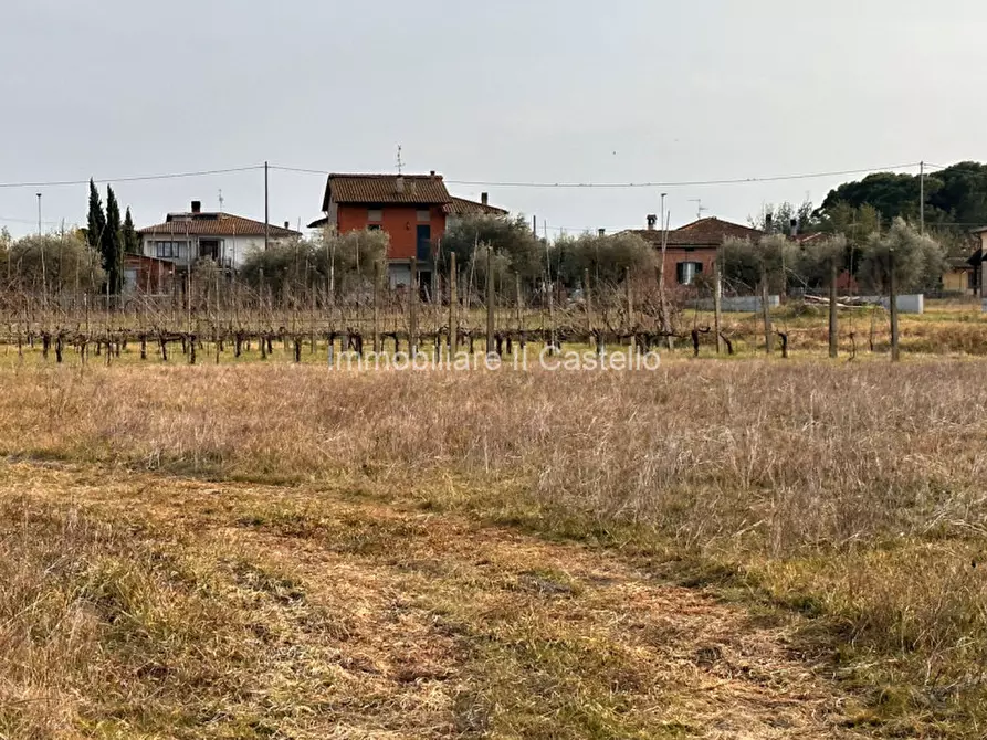 Immagine 11 di Terreno in vendita  in Località Vitellino a Castiglione Del Lago
