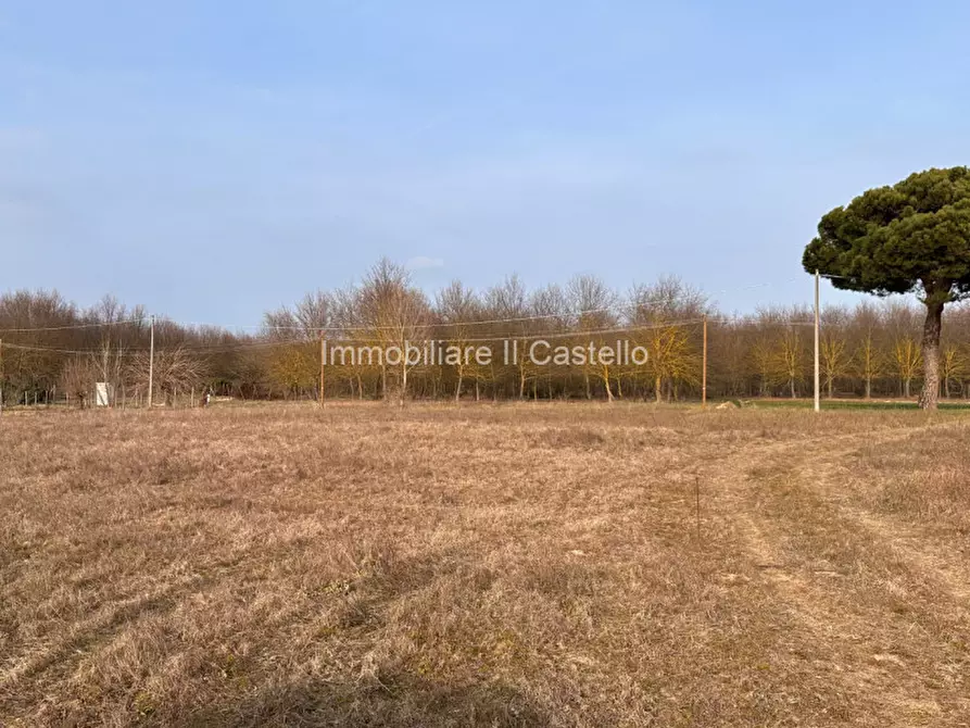 Immagine 13 di Terreno in vendita  in Località Vitellino a Castiglione Del Lago