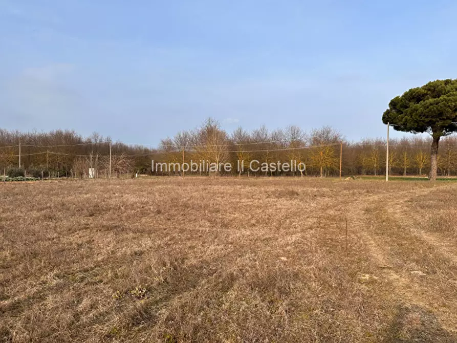 Immagine 14 di Terreno in vendita  in Località Vitellino a Castiglione Del Lago