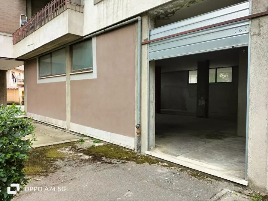 Immagine 3 di Magazzino in vendita  in Via Carnia a Terni