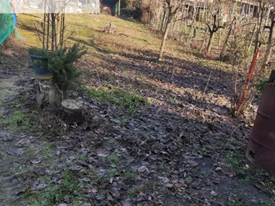 Immagine 27 di Villetta a schiera in vendita  in via San Carlo a Santa Giuletta